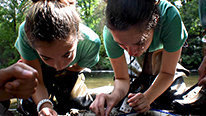 Icon for: Project TRUE - Teens Researching Urban Ecology