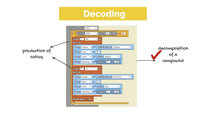 Icon for: Connecting Math and Science through Decoding Models