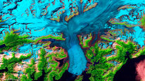 Icon foR: Engaging the Public in S.T.E.A.M with Landsat