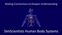 Icon for: SimScientists Human Body Systems